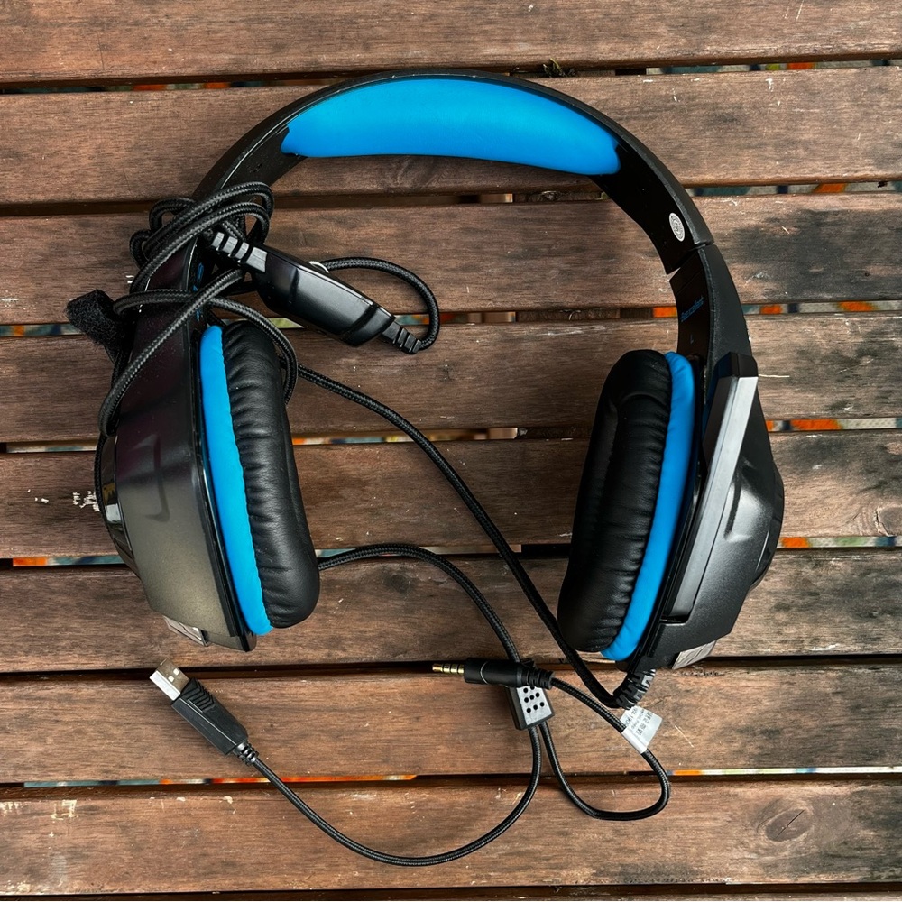 Beeexcellent Black and Blue Over-Ear Headphones